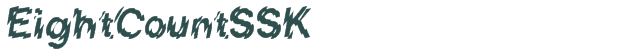 EightCountSSK font download (truetype) preview image