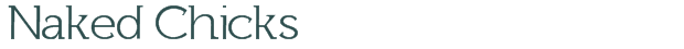 Naked Chicks font download (truetype) preview image