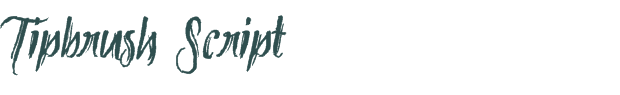 Tipbrush Script font download (truetype) preview image