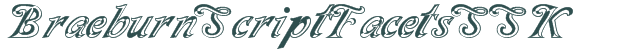 BraeburnScriptFacetsSSK font download (truetype) preview image