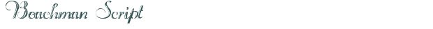 Beachman Script font download (truetype) preview image