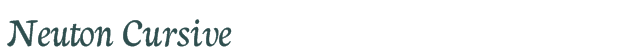 Neuton Cursive font download (truetype) preview image