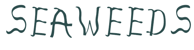 Font Preview Image for seaweeds