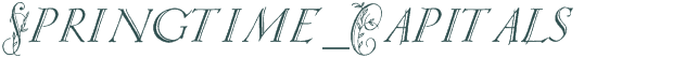 Springtime_Capitals font download (truetype) preview image