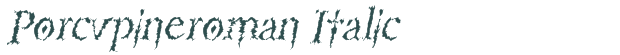 Font Preview Image for Porcupineroman Italic