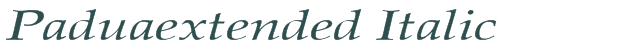 Font Preview Image for Paduaextended Italic